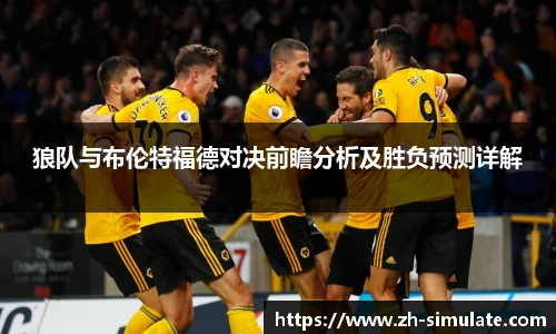 狼队与布伦特福德对决前瞻分析及胜负预测详解